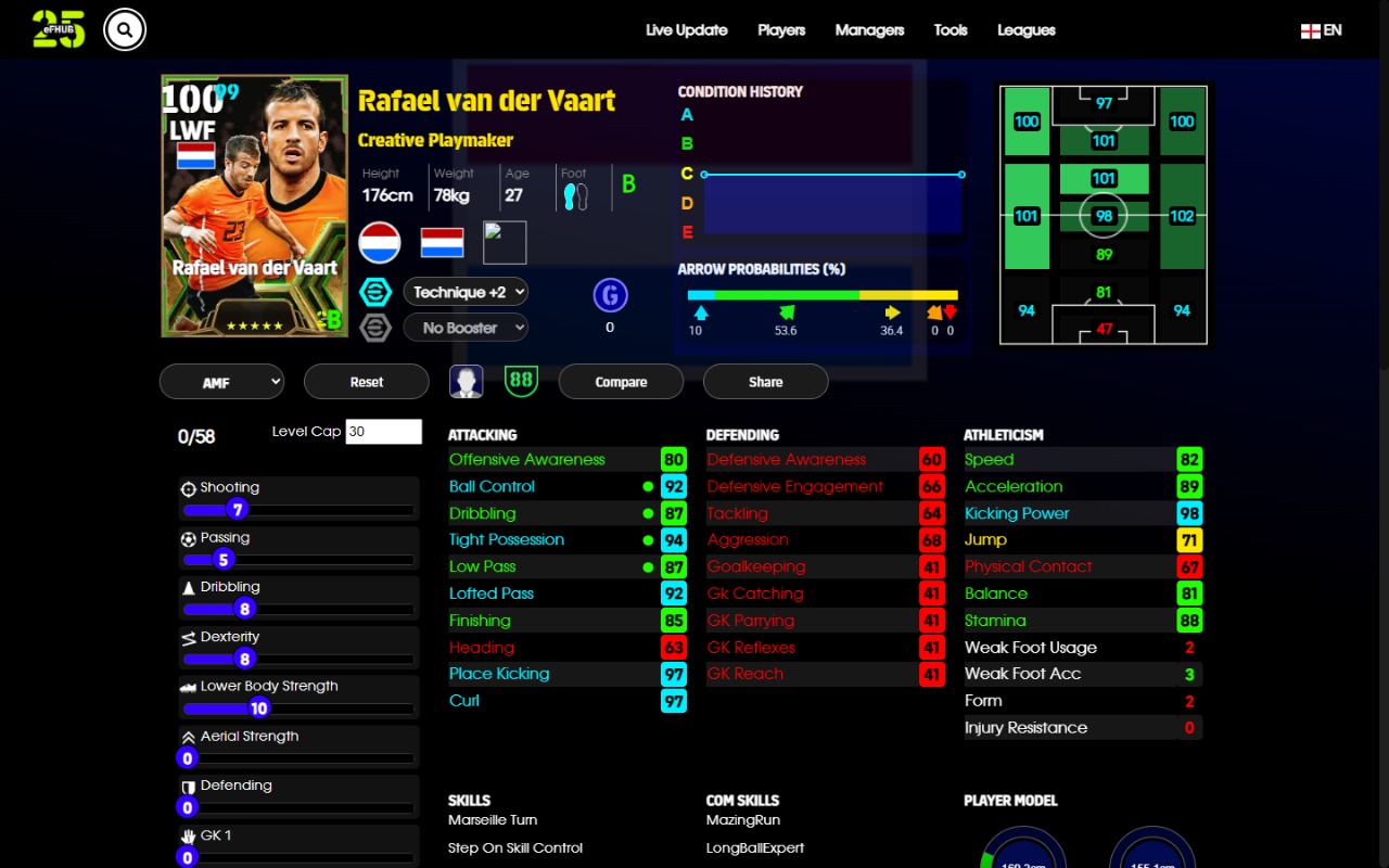 Rafael van der Vaart